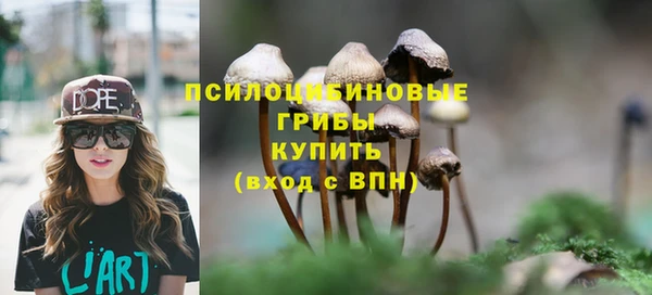 дурь Балахна