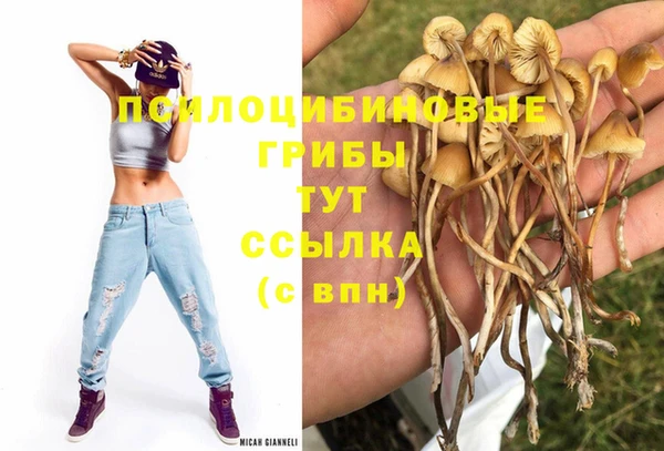 мяу мяу кристалл Баксан
